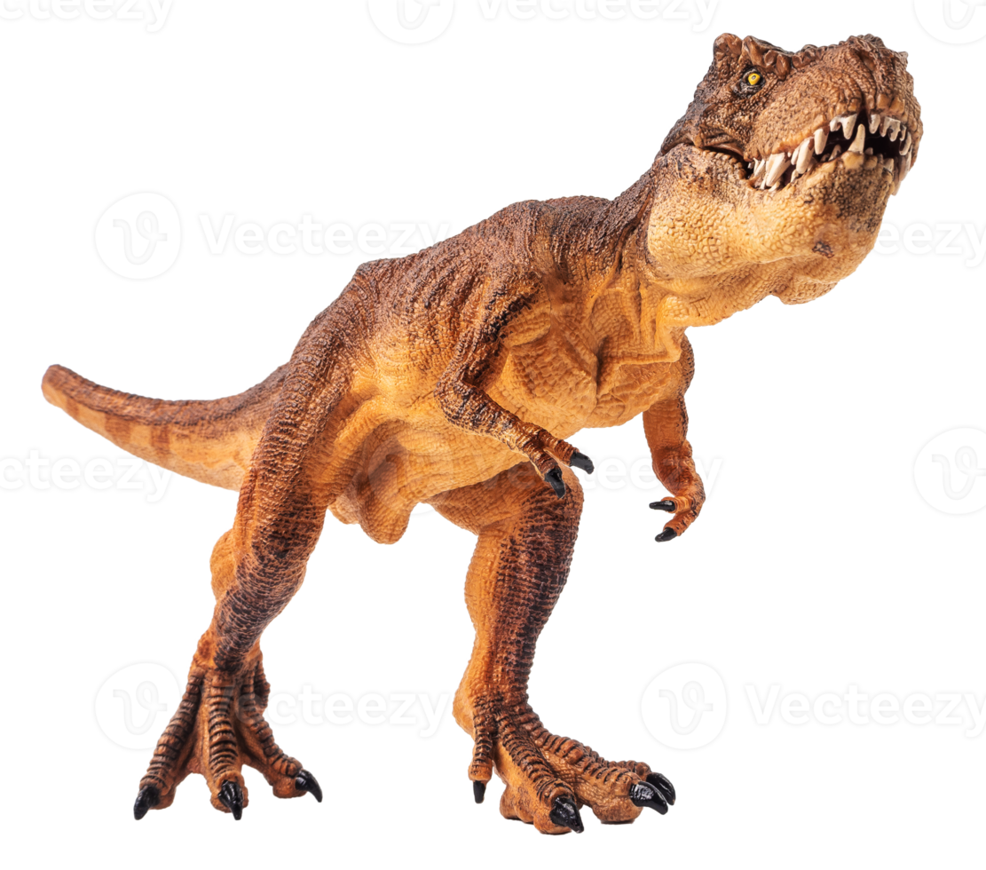 Tyrannosaurus t-rex, dinosaure sur fond blanc png