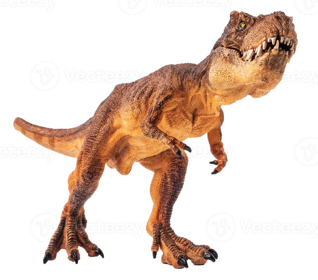 tyrannosaurus t-rex, dinosaurie på vit bakgrund png