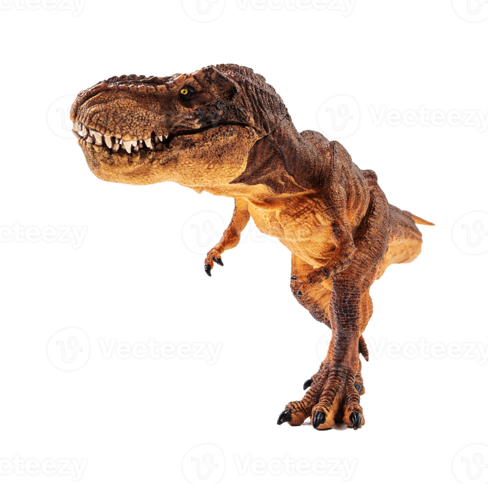 tyrannosaurus t-rex, dinosaurie på vit bakgrund png