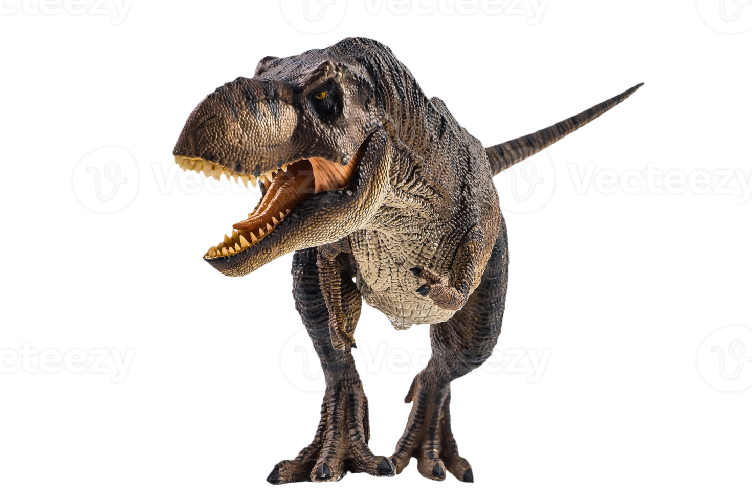 Tyrannosaurus T-rex ,dinosaur on white background png