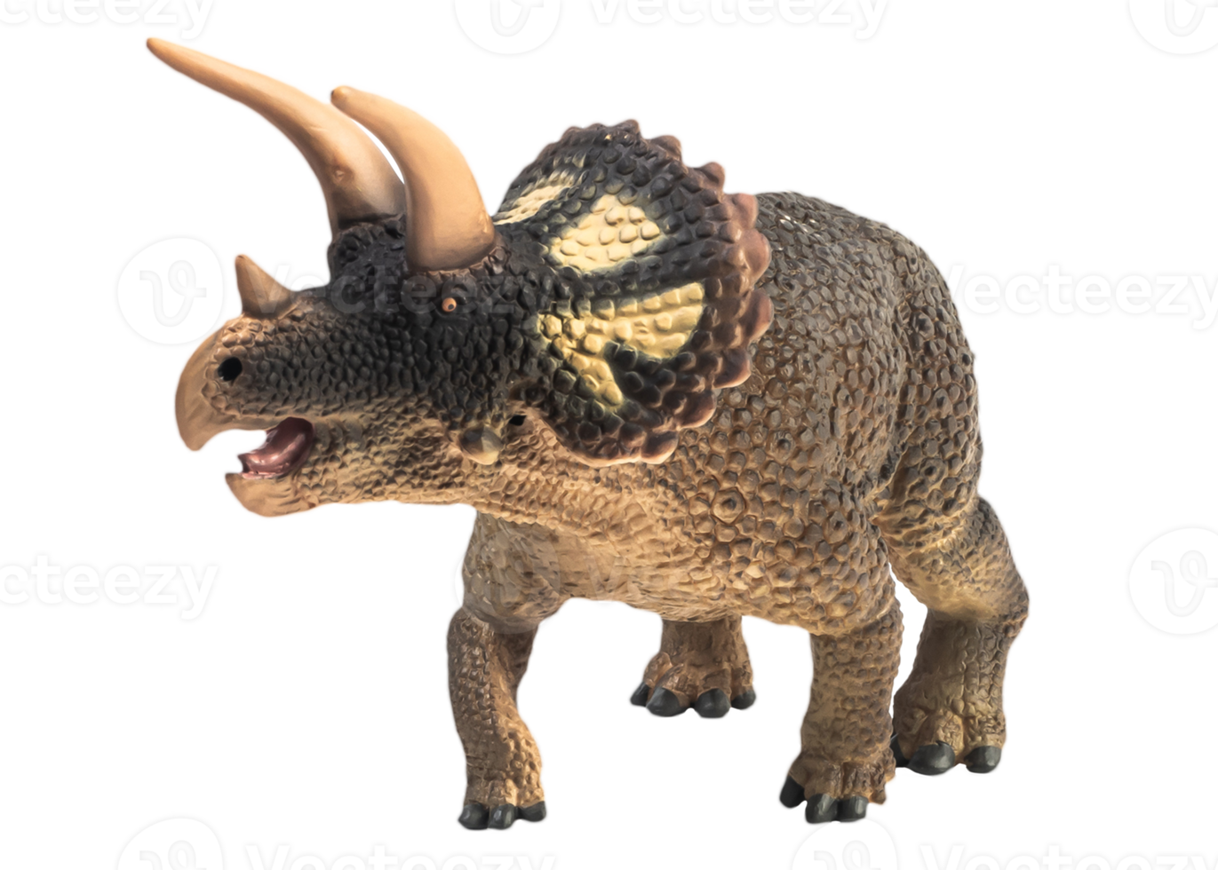 triceratops, dinosaurio sobre fondo blanco. trazado de recorte png