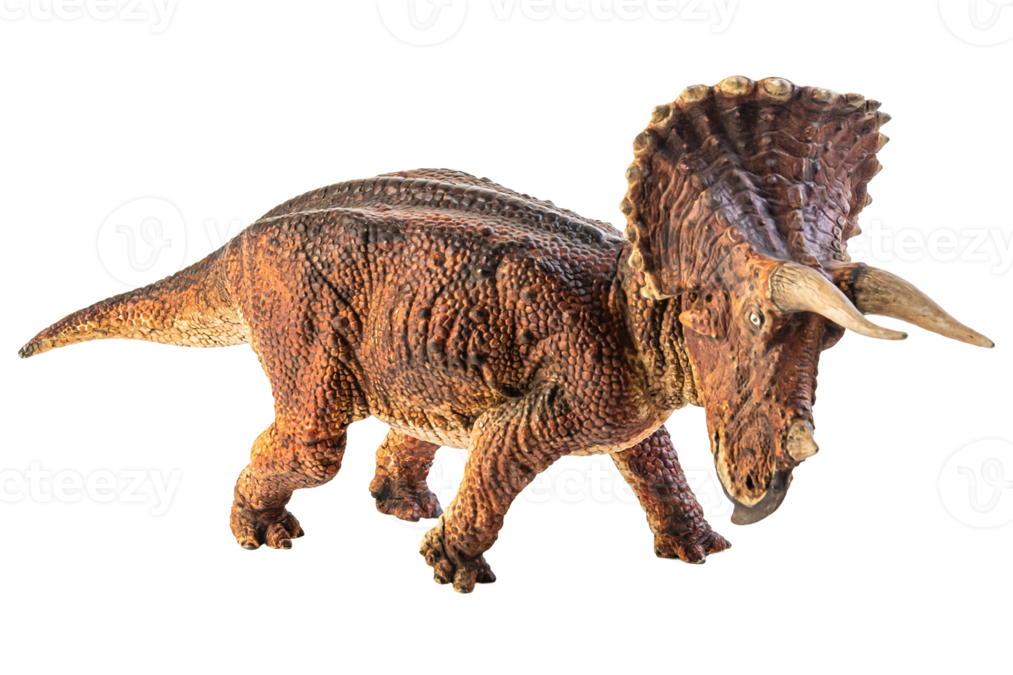tricératops, dinosaure sur fond blanc. chemin de détourage png