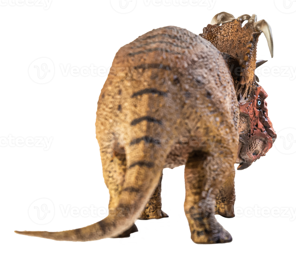 Pachyrhinosaurus  , dinosaur on white background . png