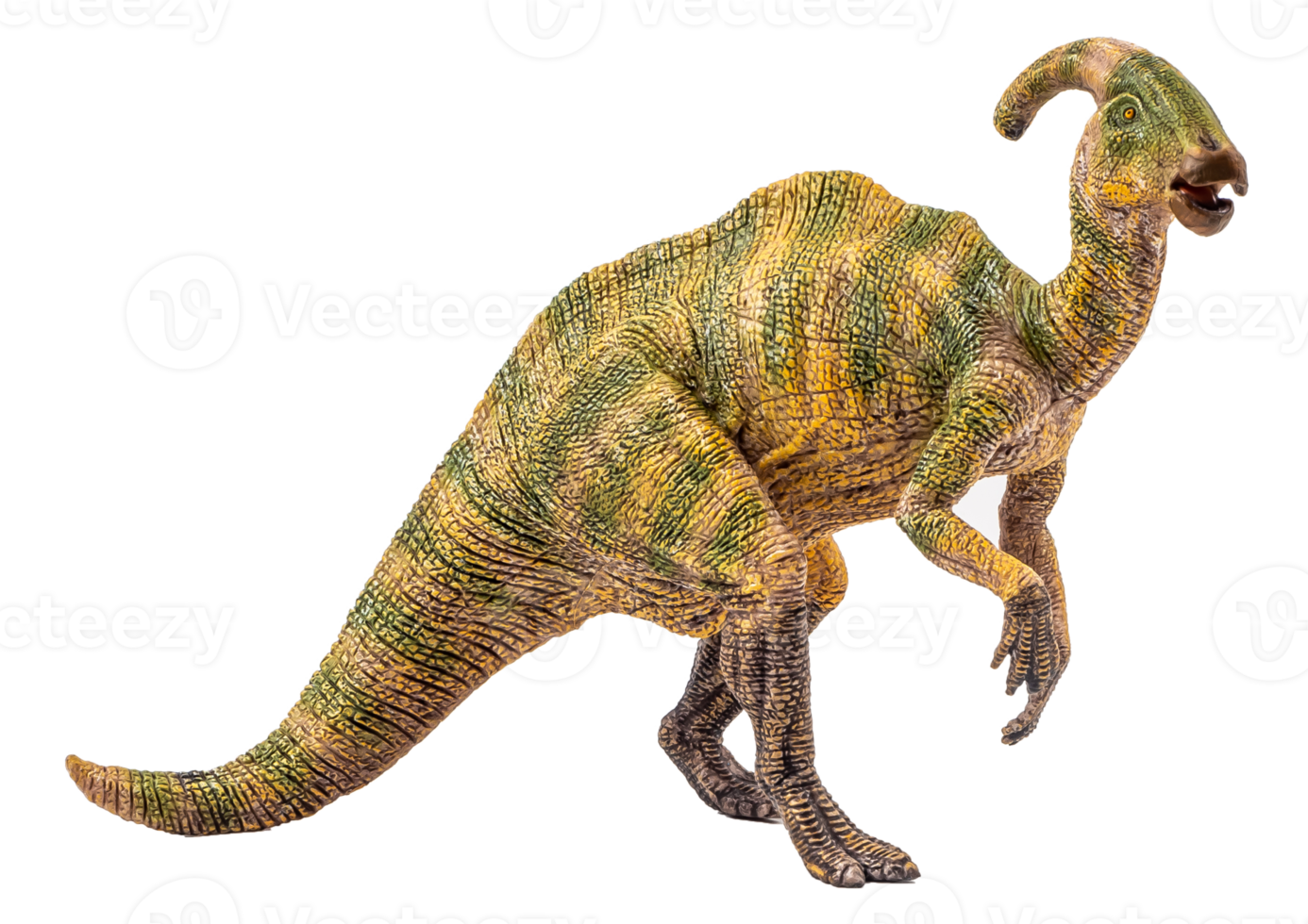 dinosaurio parasaurolophus sobre fondo blanco png