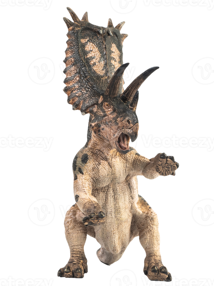 pentaceratops dinosauro su sfondo bianco png