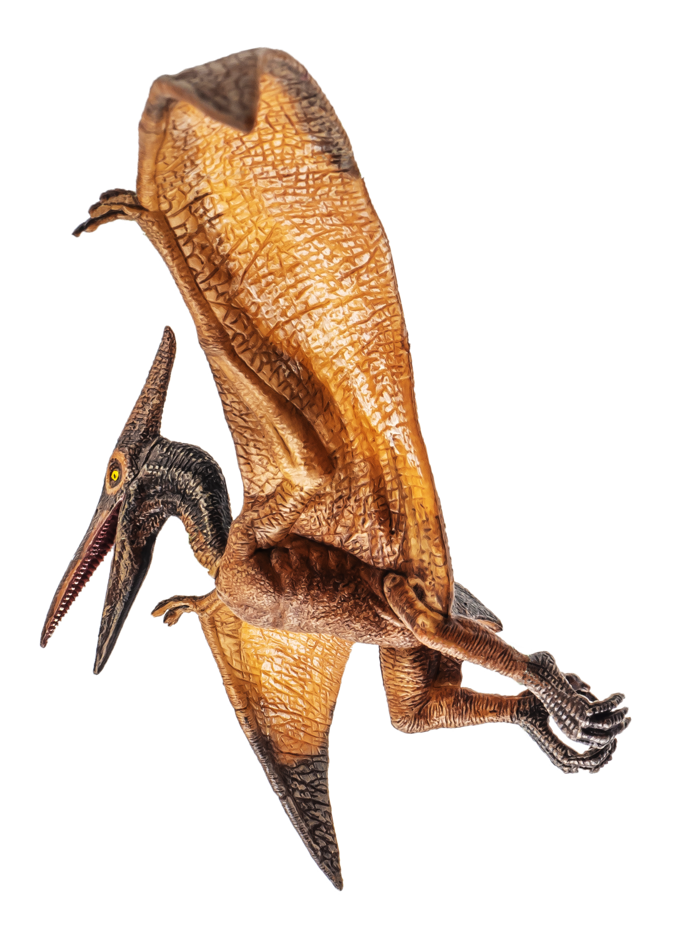 Pterodactyl Png Sublimation Design, Hand Drawn Pterodactyl Png,Pterodactyl  Portrait Png,Dinosaur Png,Dinosaur Portrait Png Digital Downloads