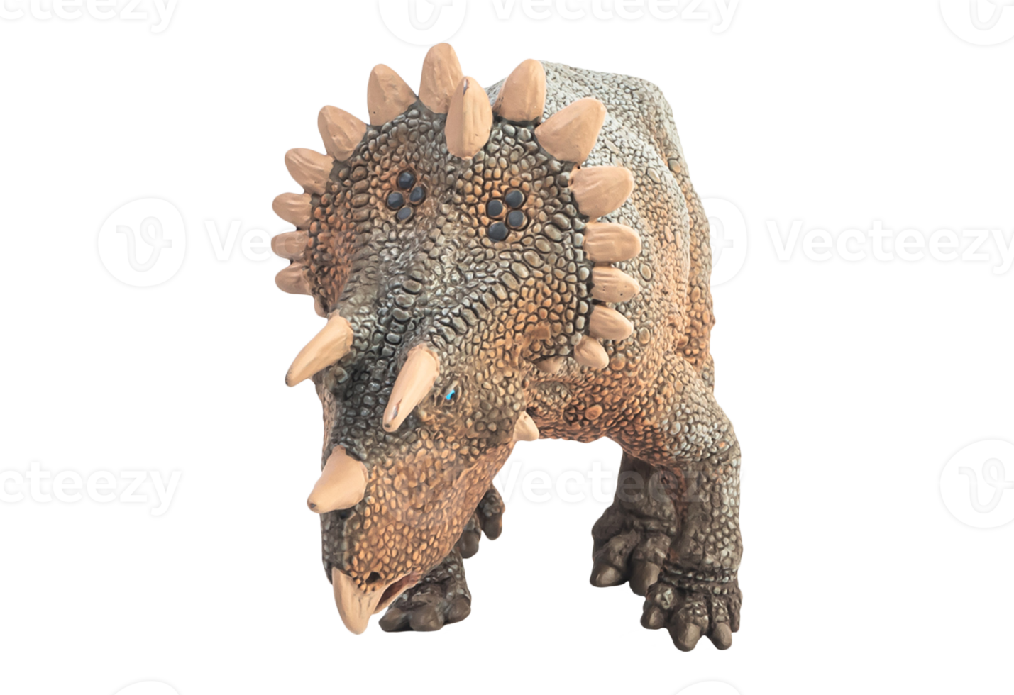 Regaliceratops Dinosaur on white background . png