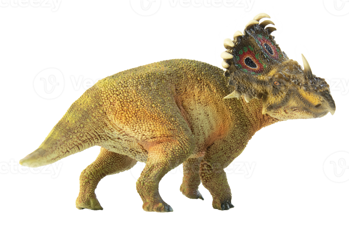 SINOCERATOPS  , dinosaur on white background . png