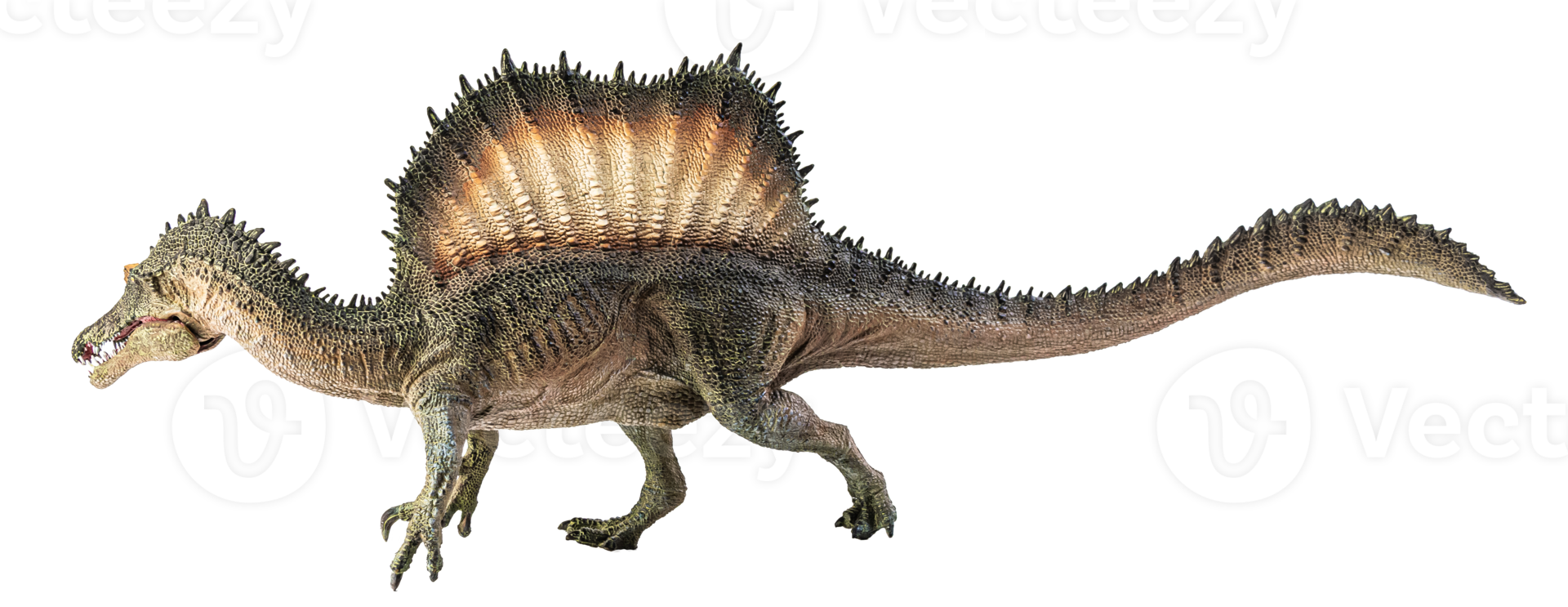 spinosauro, dinosauro su sfondo bianco. png