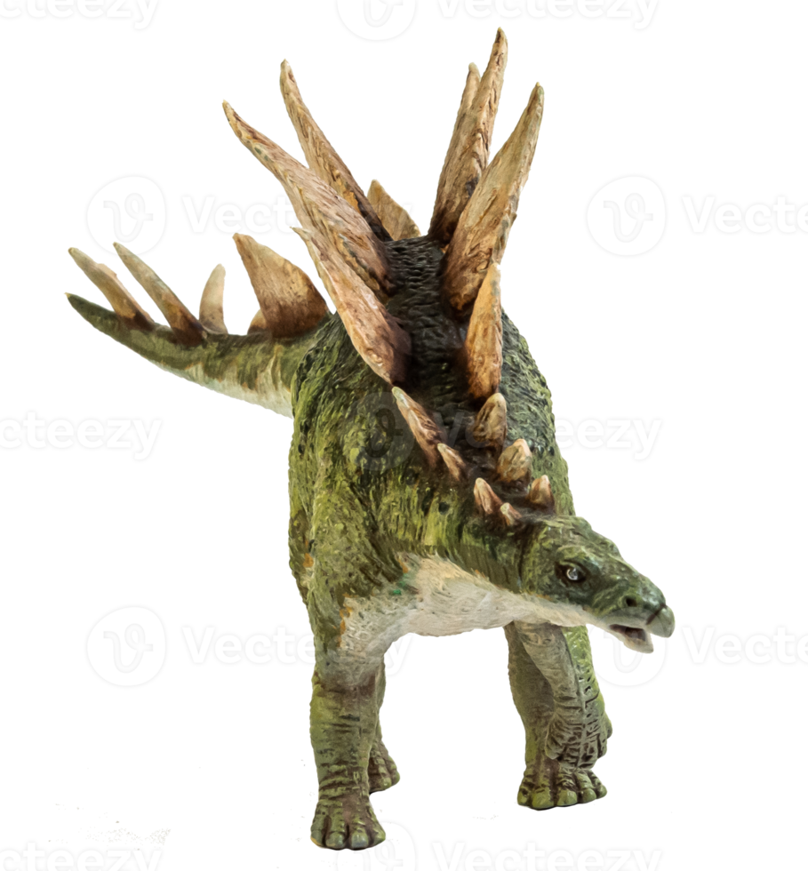 dinosaure stegosaurus sur fond isolé. png