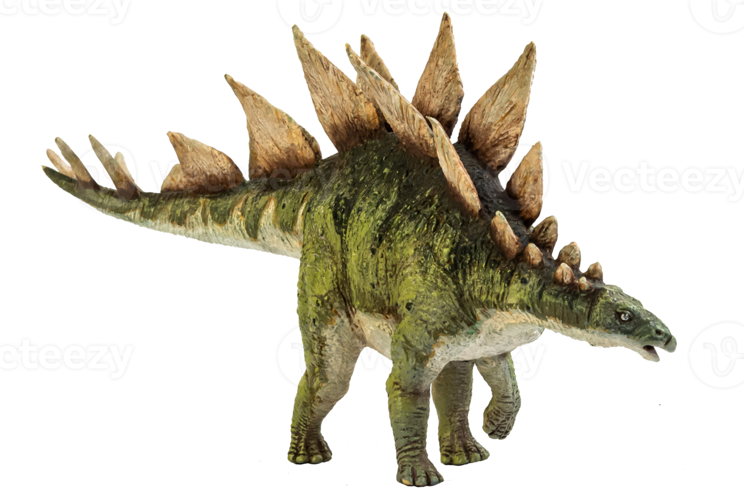 dinosaure stegosaurus sur fond isolé. png