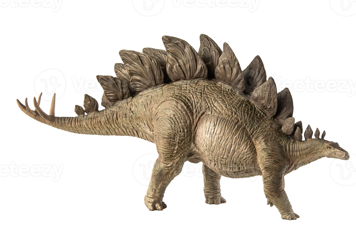 Stegosaurus-Dinosaurier auf weißem Hintergrund png