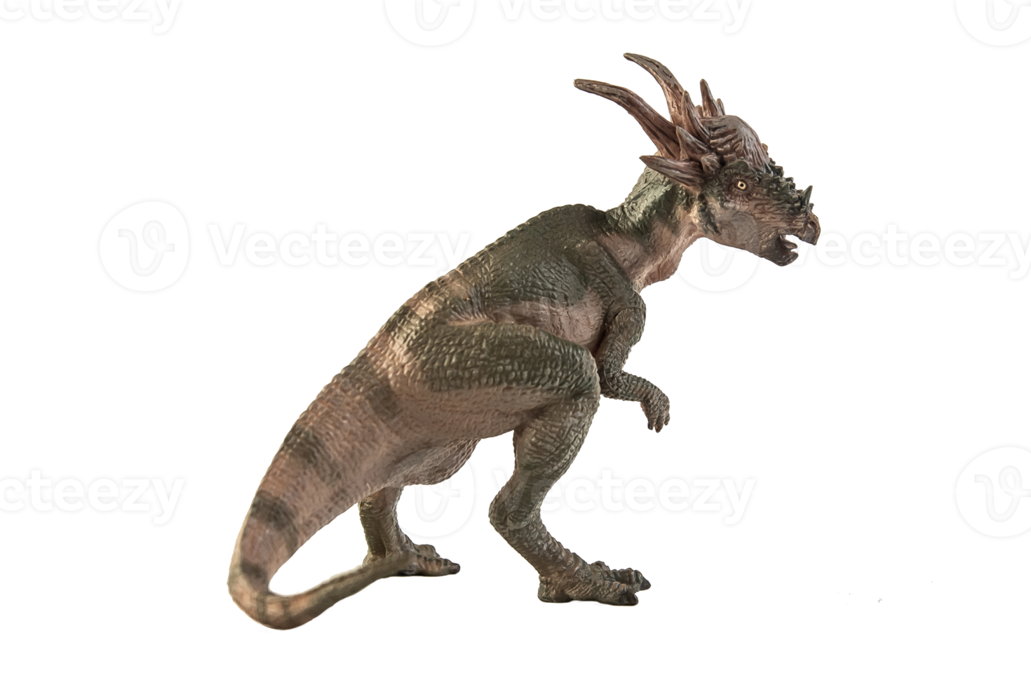 stygimoloch dinosauro su sfondo bianco png