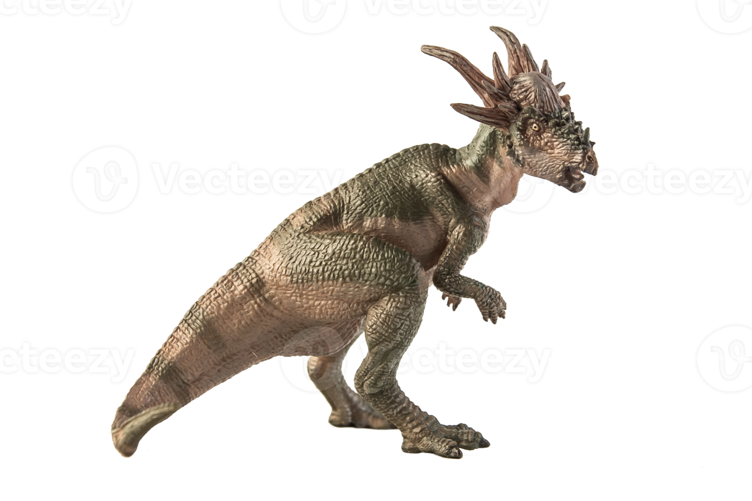 dinosaurio stygimoloch sobre fondo blanco png