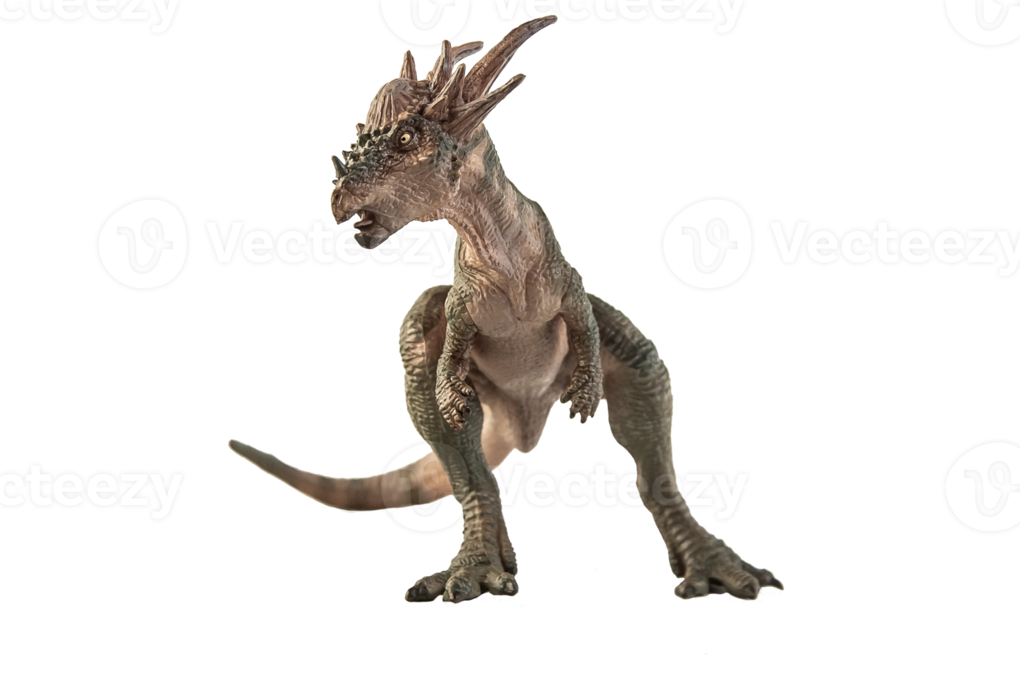 dinosaurio stygimoloch sobre fondo blanco png