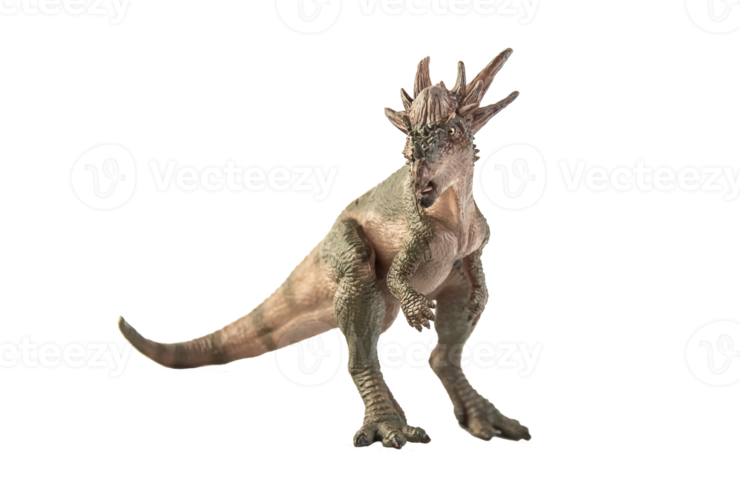 dinosaure stygimoloch sur fond blanc png