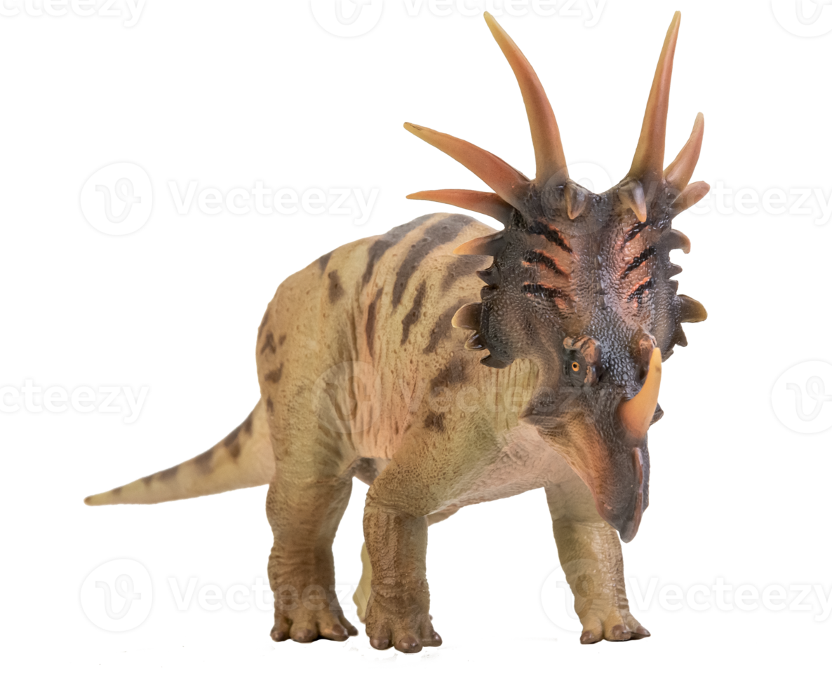 Styracosaurus  Dinosaur on isolate background png