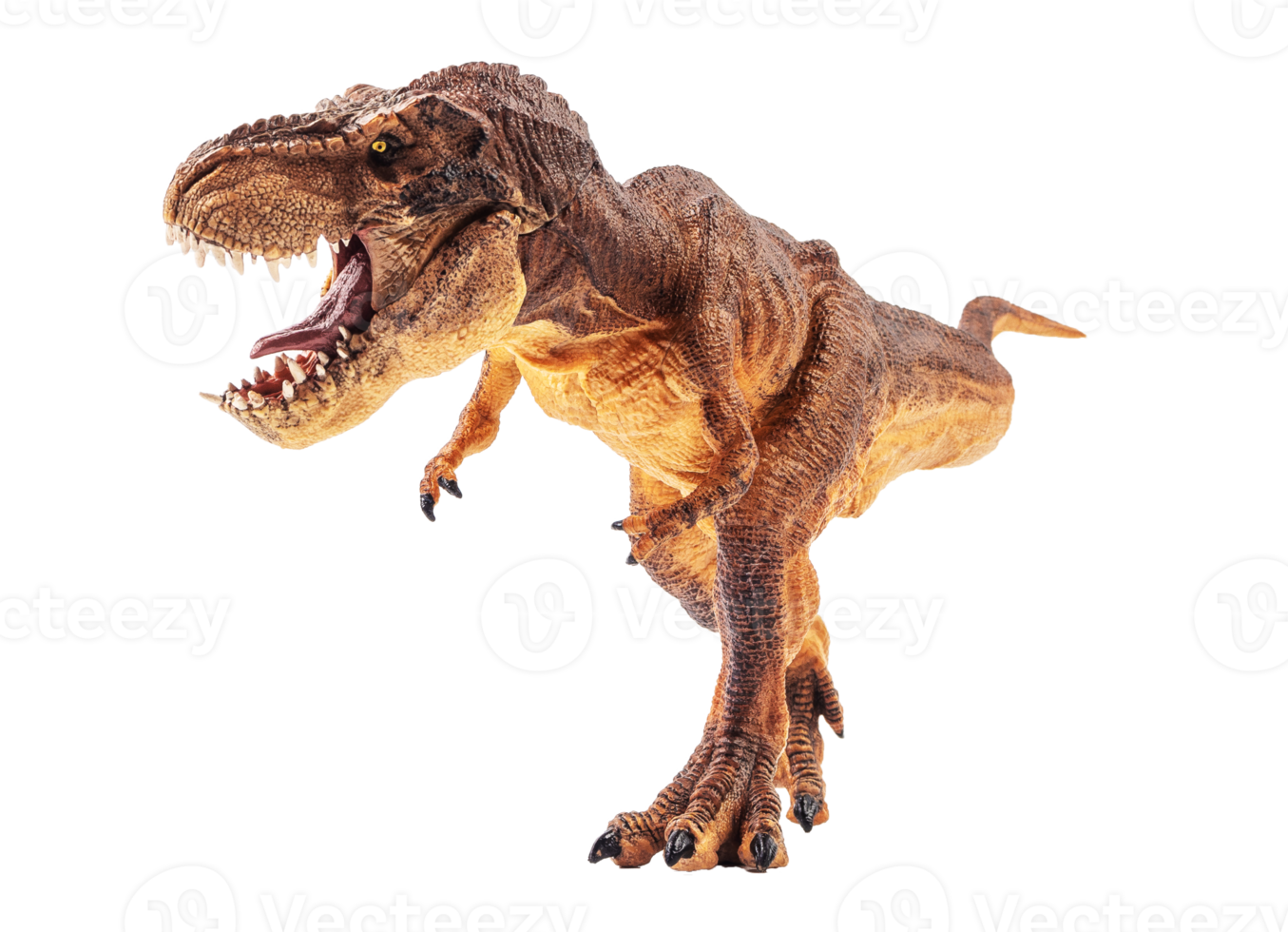 Tyrannosaurus T-rex ,dinosaur on white background png