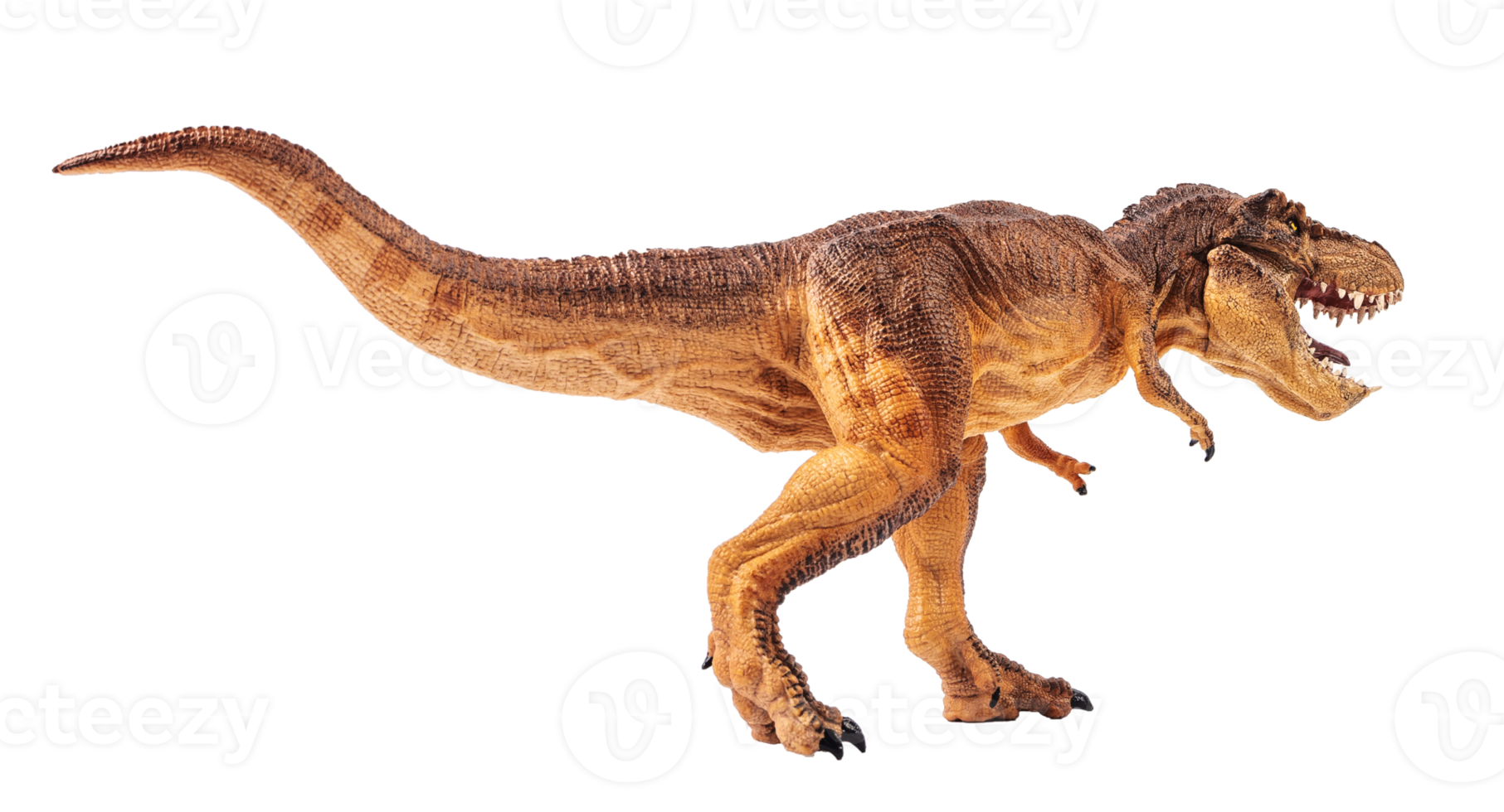 Tyrannosaurus T-rex ,dinosaur on white background png