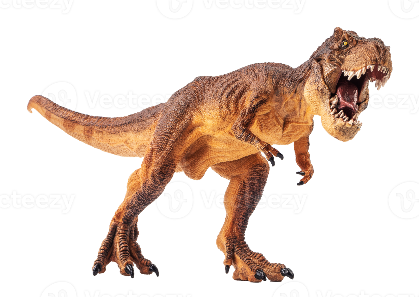 Tyrannosaurus T-rex ,dinosaur on white background png