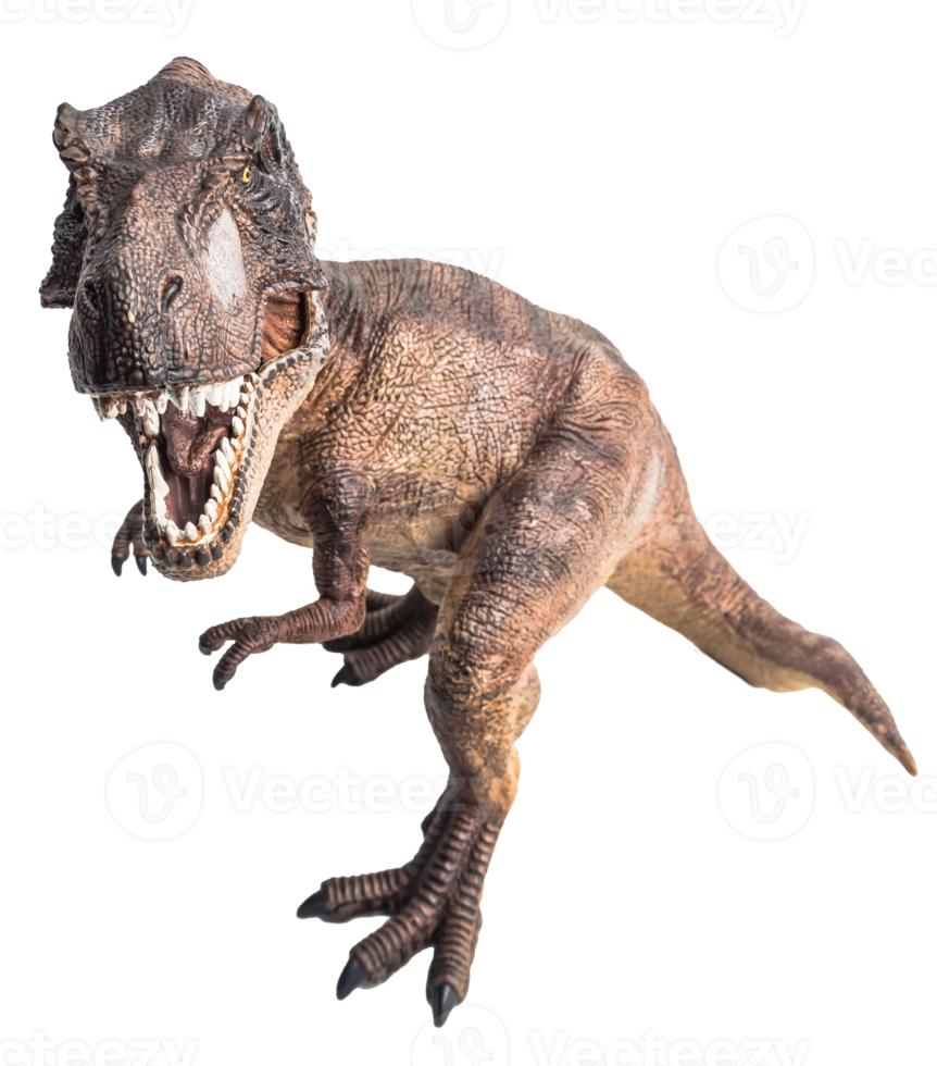 Tyrannosaurus T-rex ,dinosaur on white background png