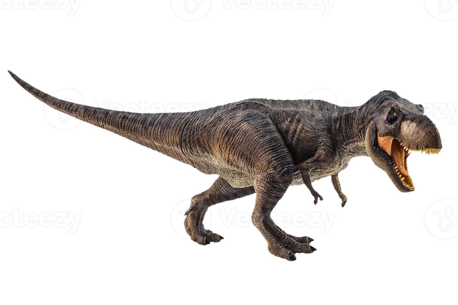 Tyrannosaurus T-Rex, Dinosaurier auf weißem Hintergrund png