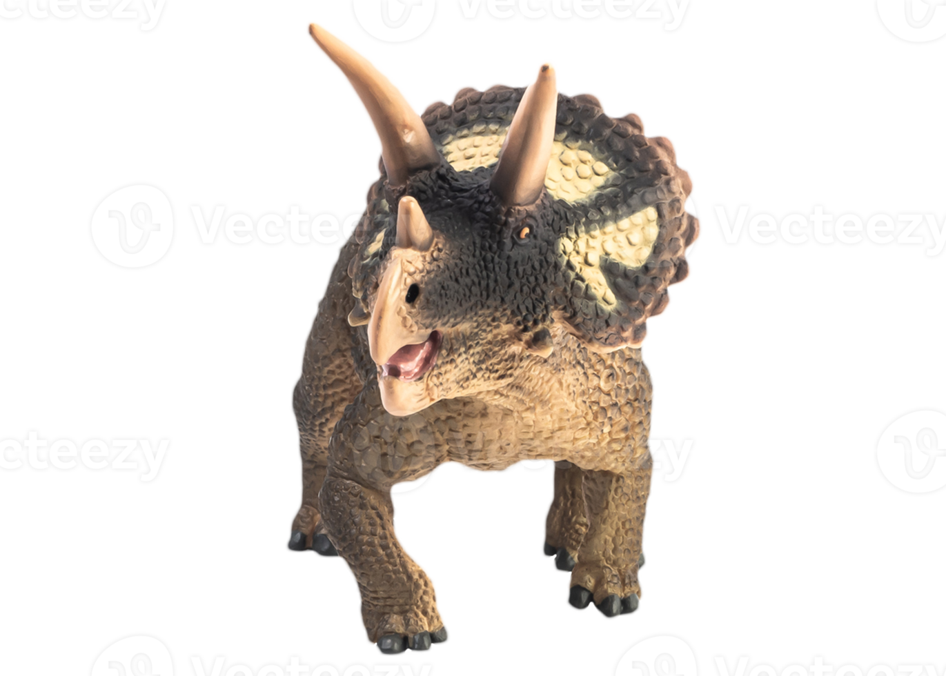 triceratops, dinosaurio sobre fondo blanco. trazado de recorte png