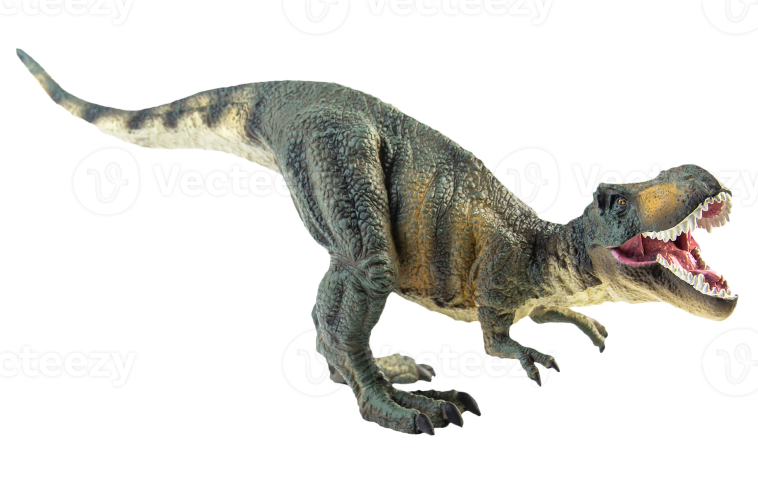 Tyrannosaurus T-rex ,dinosaur on white background png