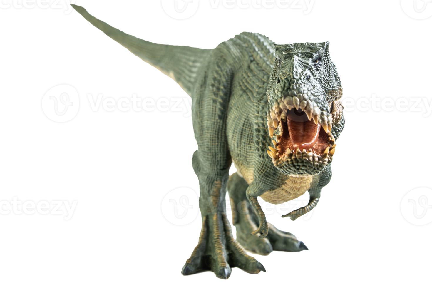 Tyrannosaurus T-rex ,dinosaur on white background png