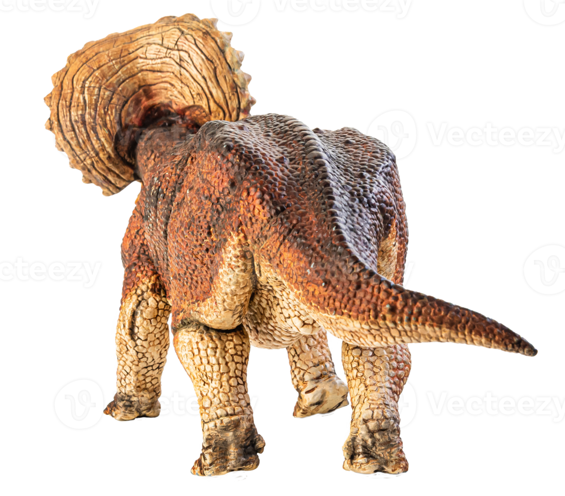 Triceratops  , dinosaur on white  background . Clipping path png