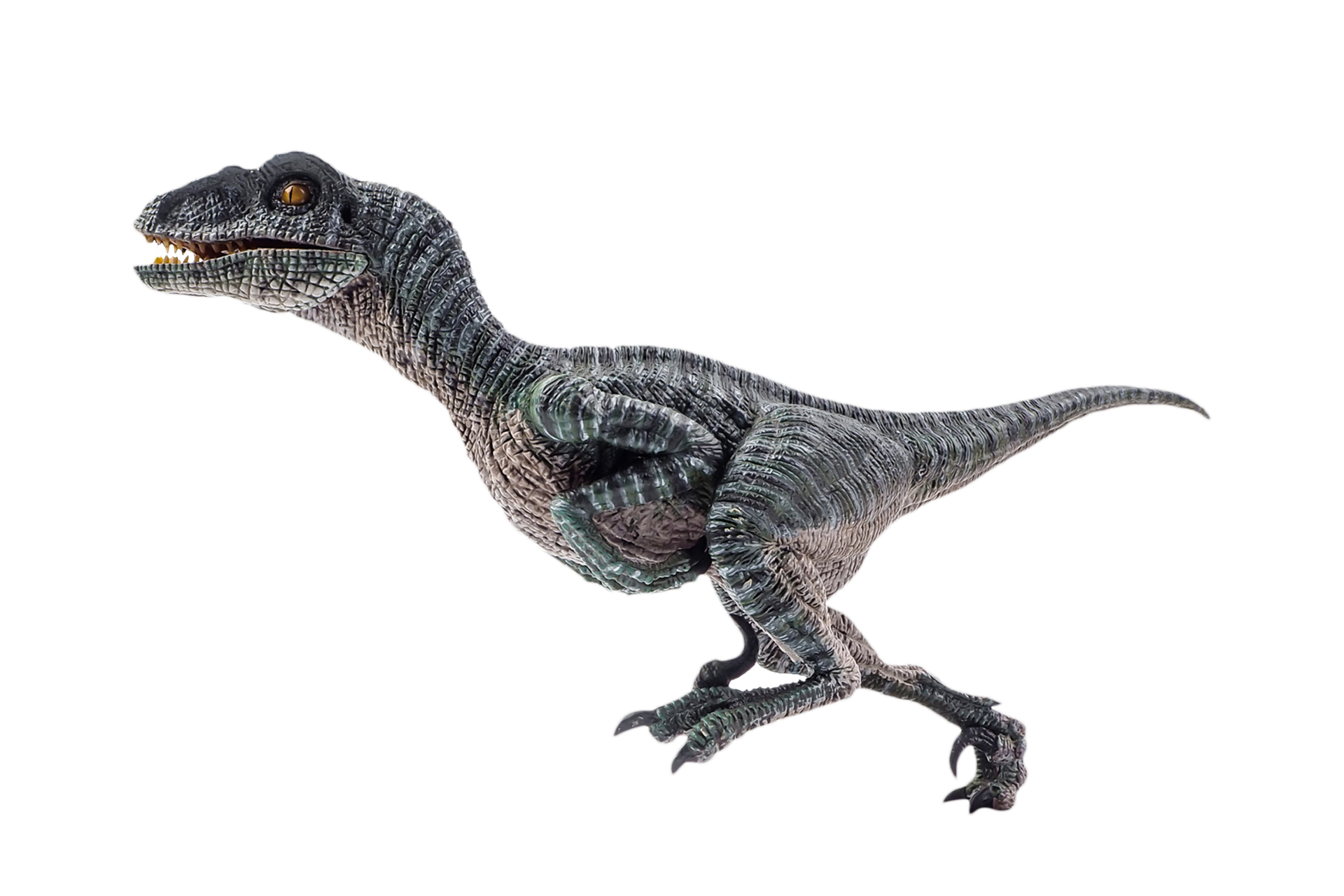 Jurassic World Dominion Raptor Blue Render Png By, 53% OFF 