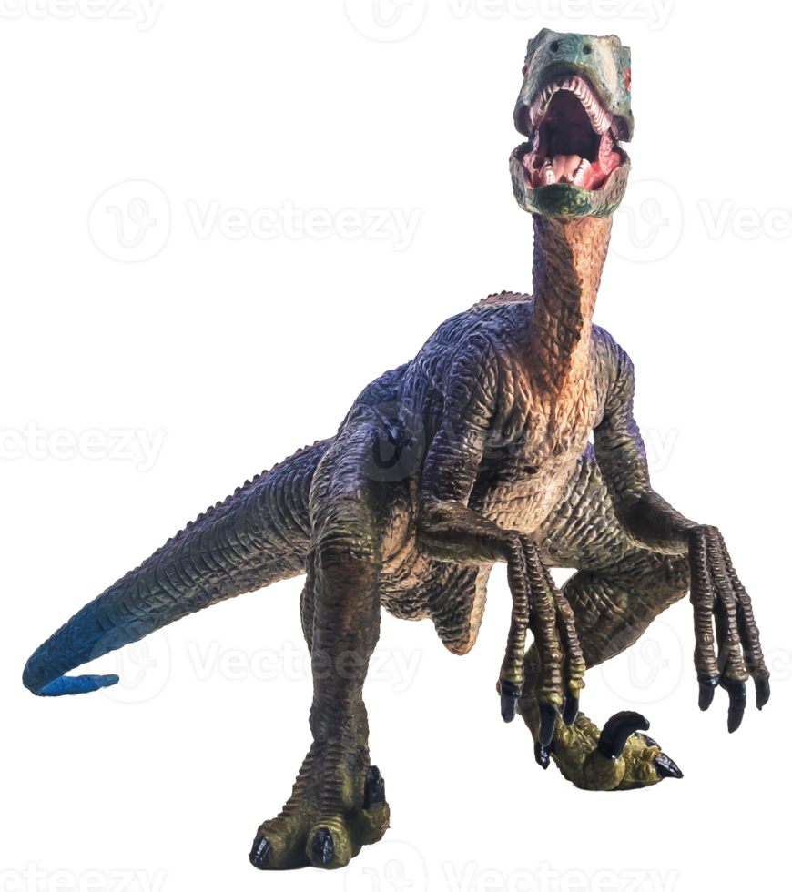 dinosaur , Velociraptor on white background . png