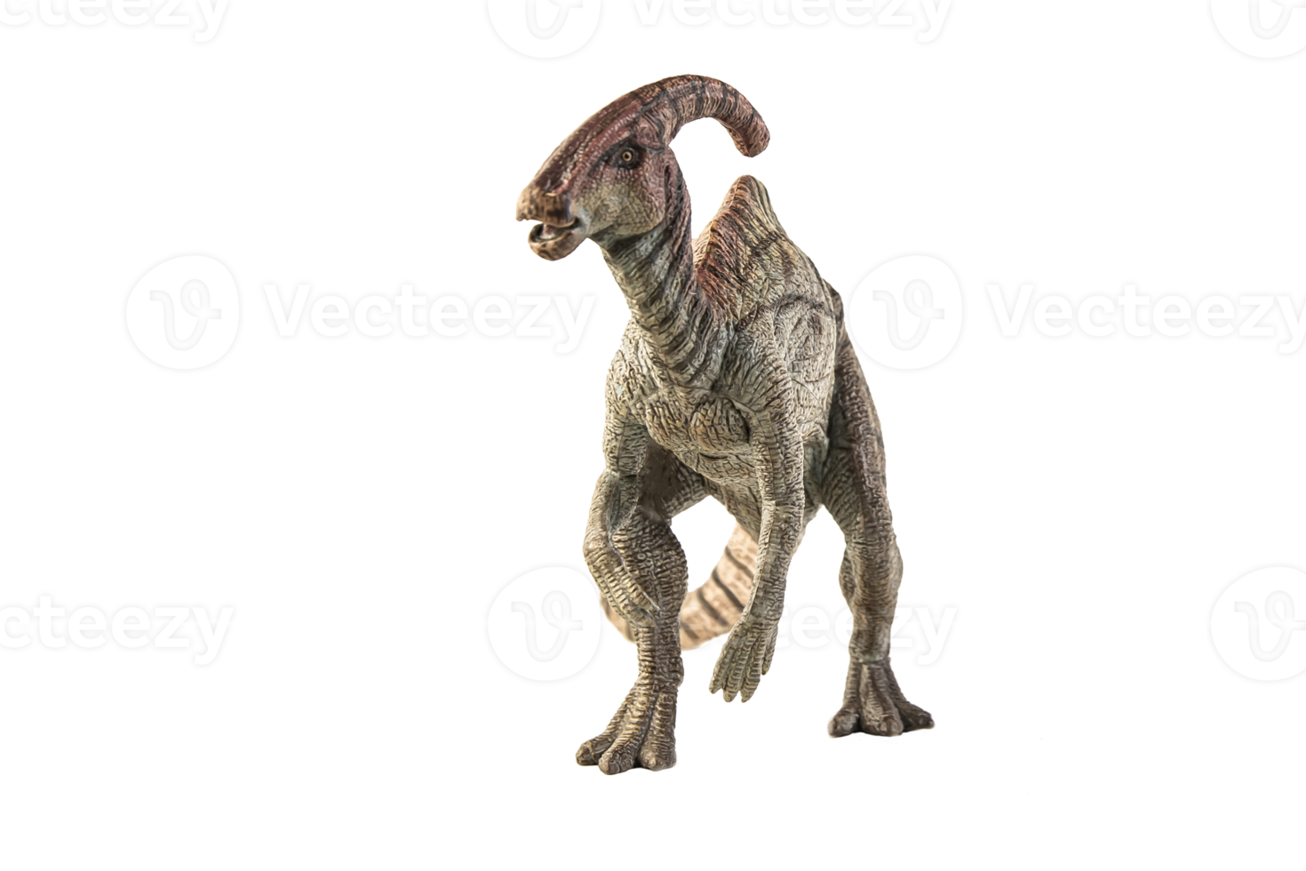 dinosaurio parasaurolophus sobre fondo blanco png