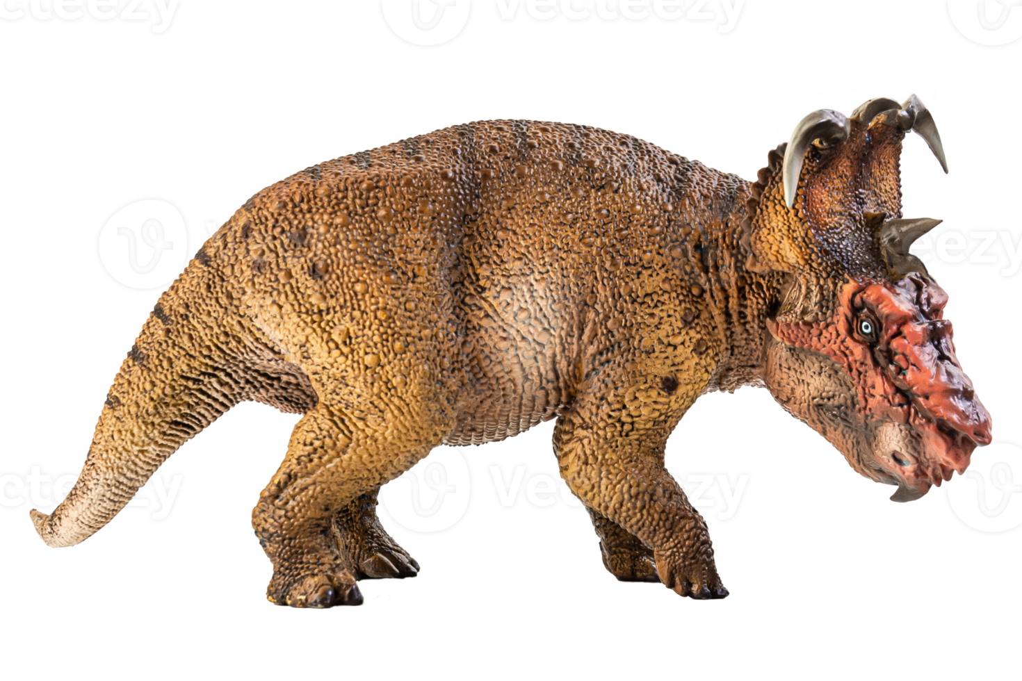 Pachyrhinosaurus, Dinosaurier auf weißem Hintergrund. png