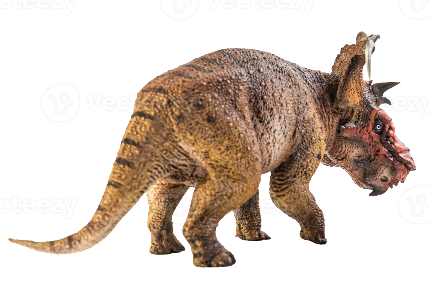 pachyrhinosaurus, dinosaure sur fond blanc. png