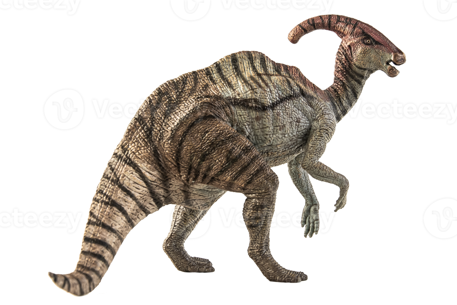 dinosauro parasaurolofo su sfondo bianco png