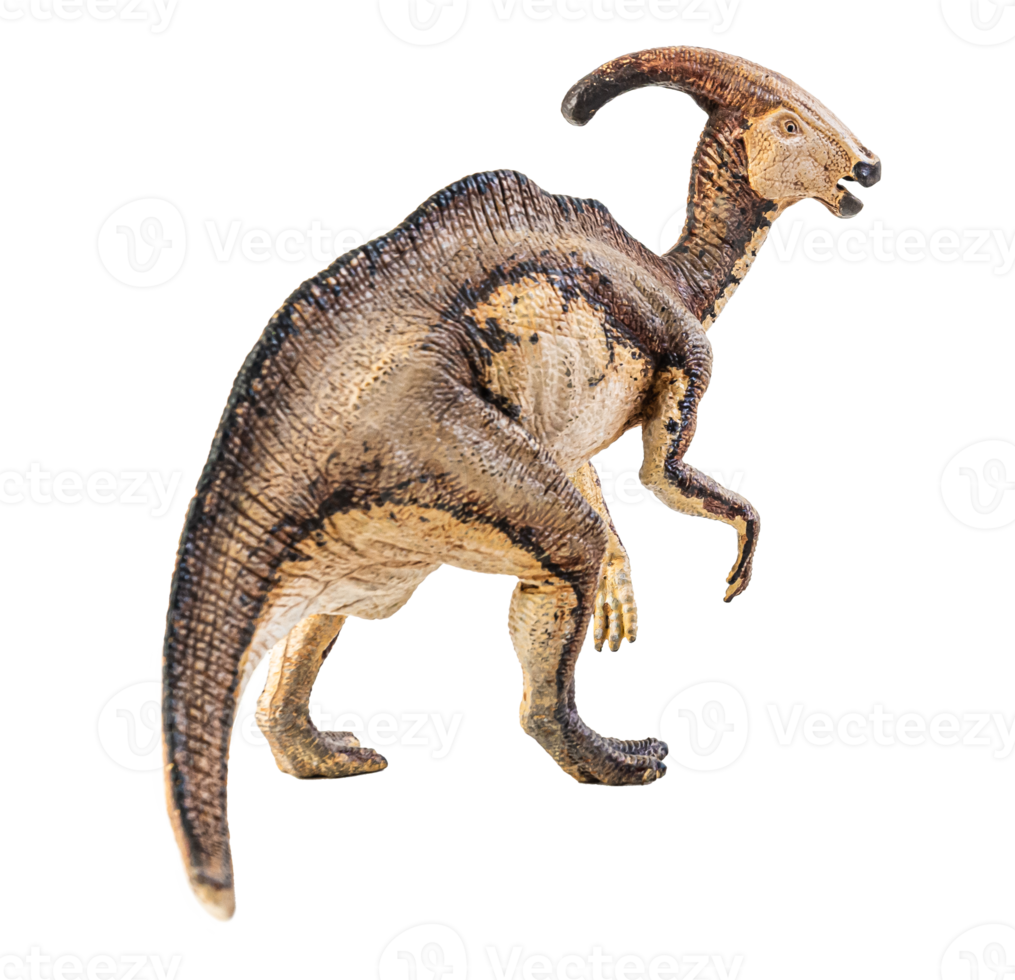 parasaurolophus, dinosauro su sfondo bianco. png