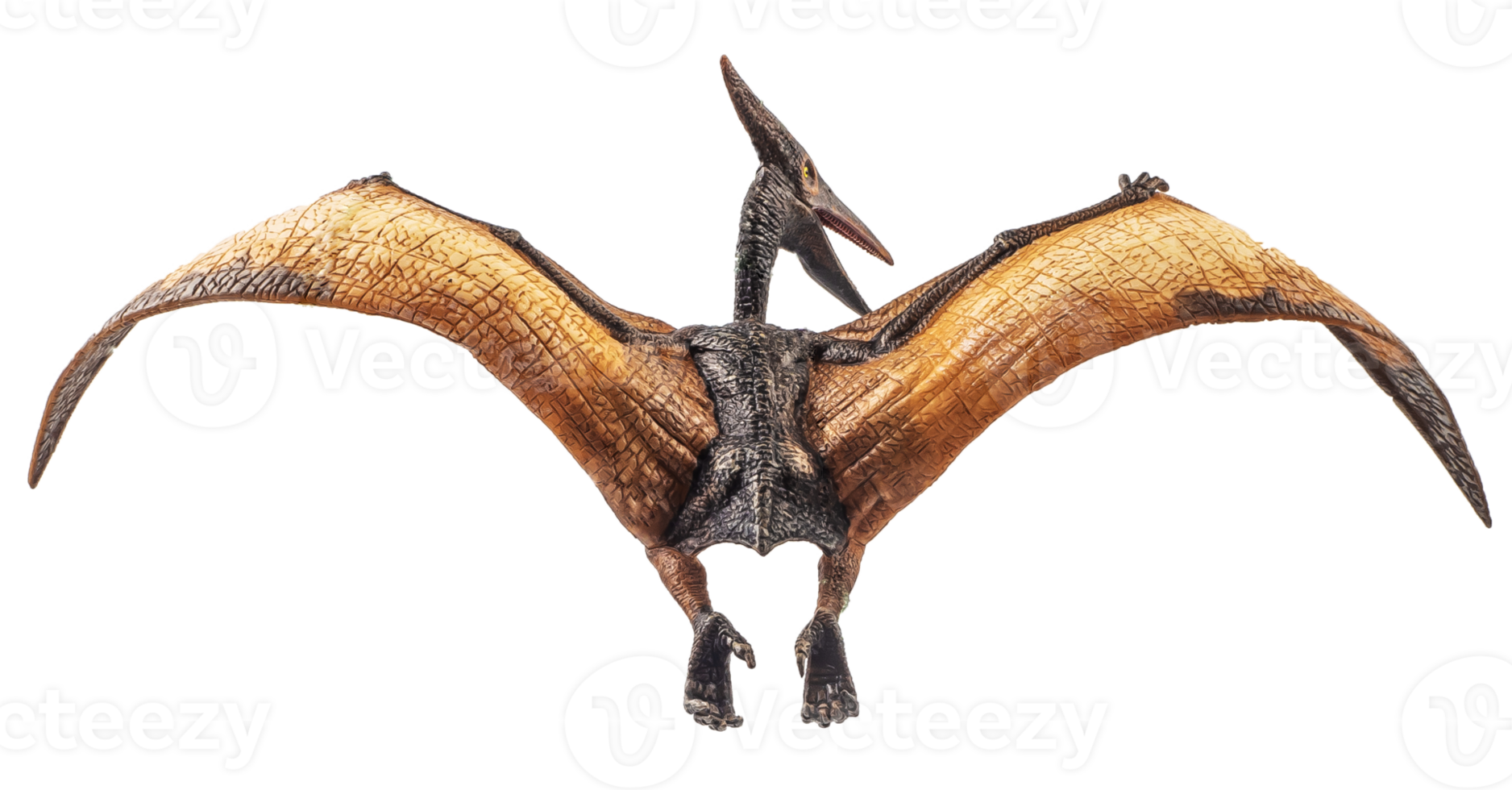 Pteranodon Pterodactyl Dinosaur on white background 8844204 PNG