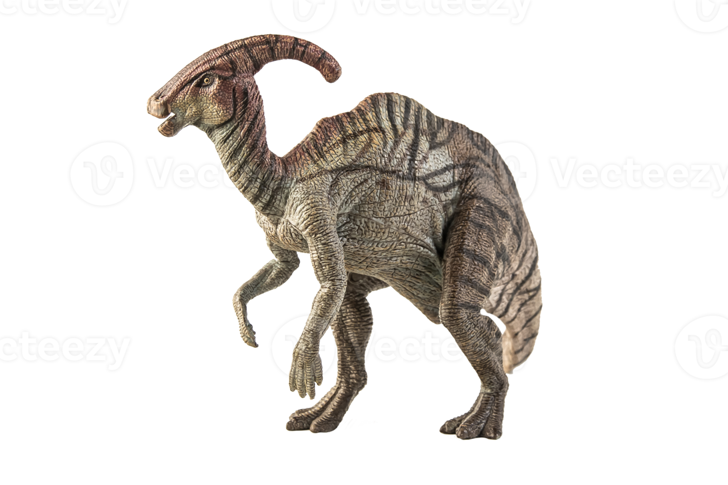 dinosaurio parasaurolophus sobre fondo blanco png