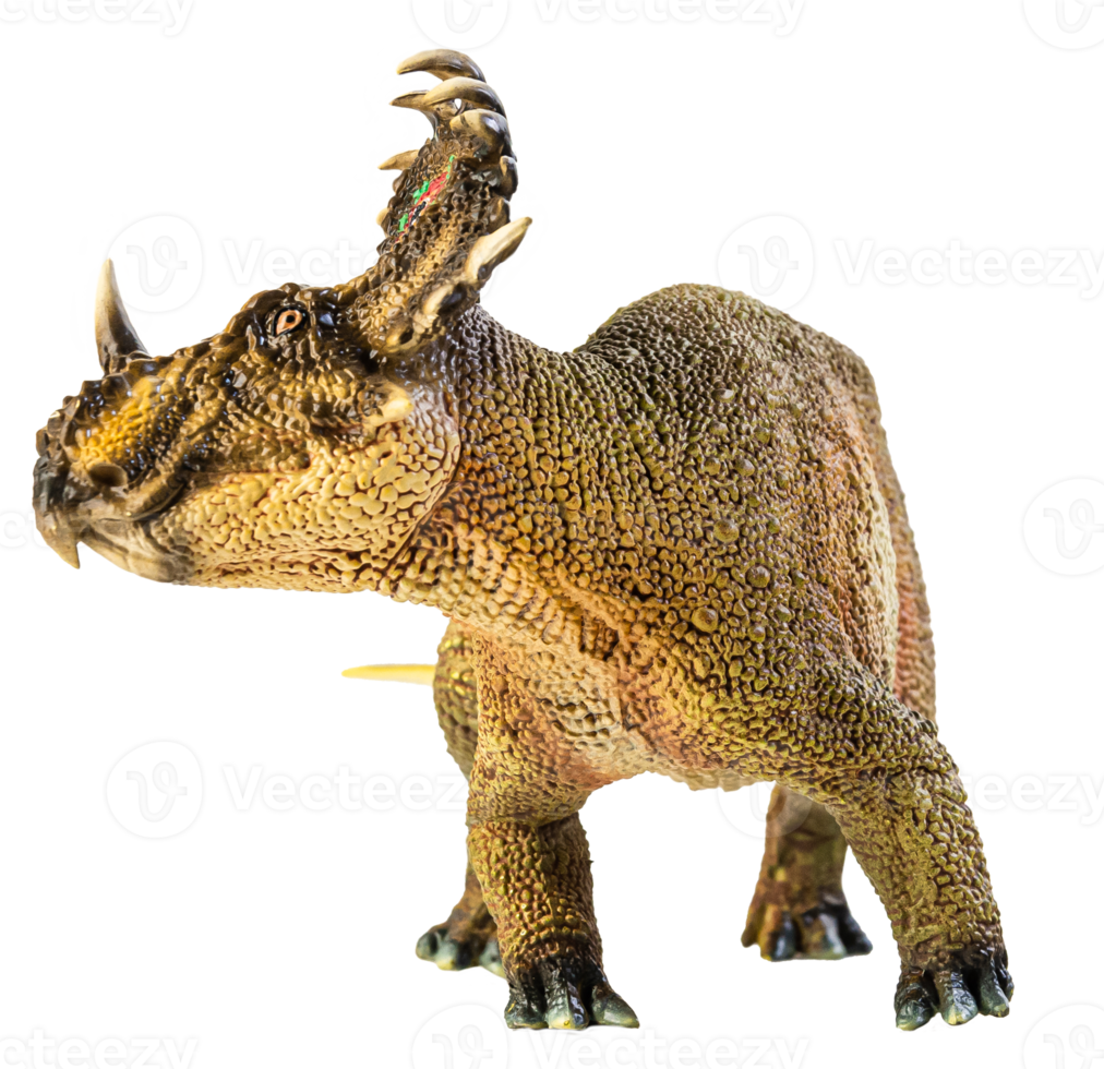 SINOCERATOPS  , dinosaur on white background . png