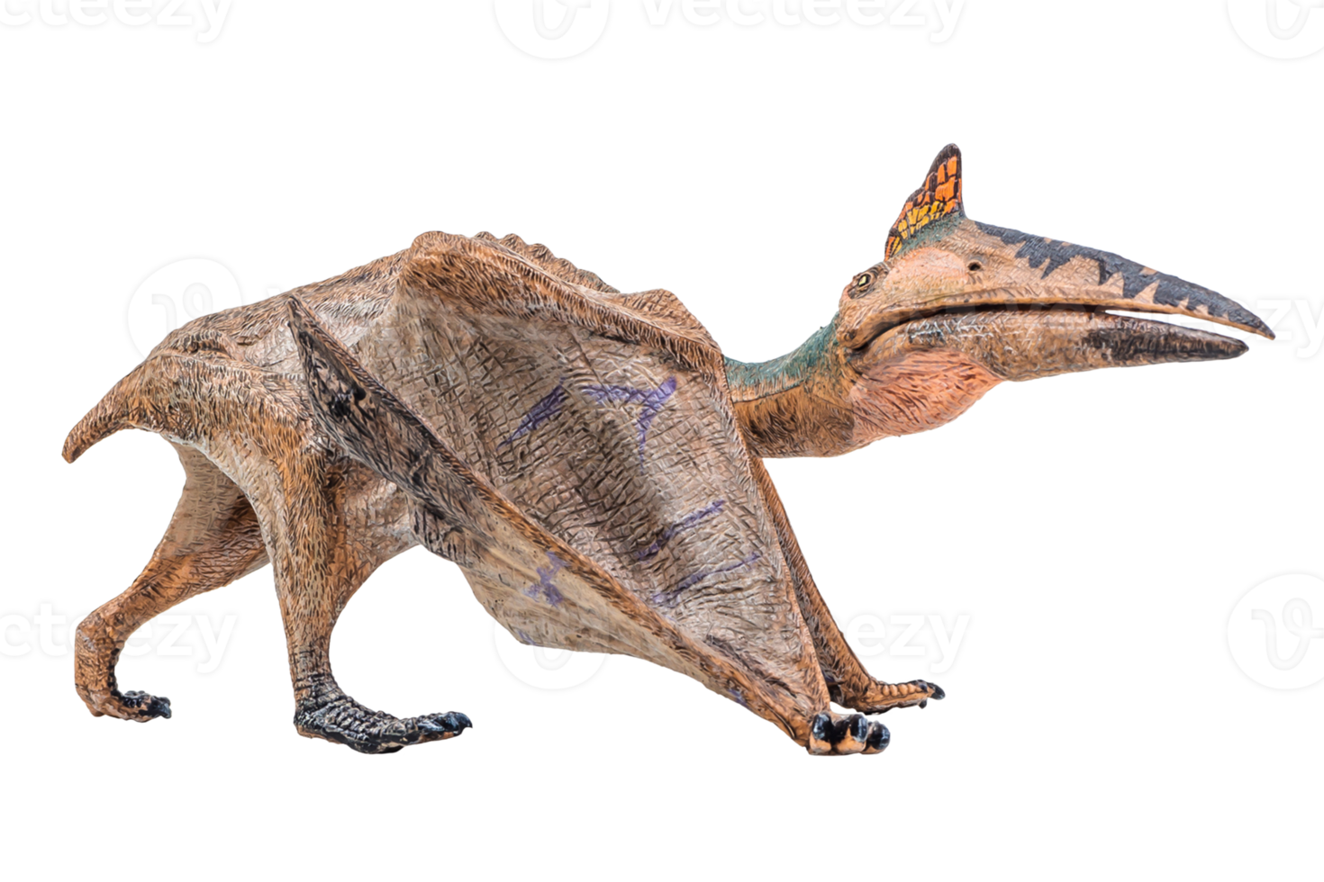 Quetzalcoatlus ,dinosaur on white background png