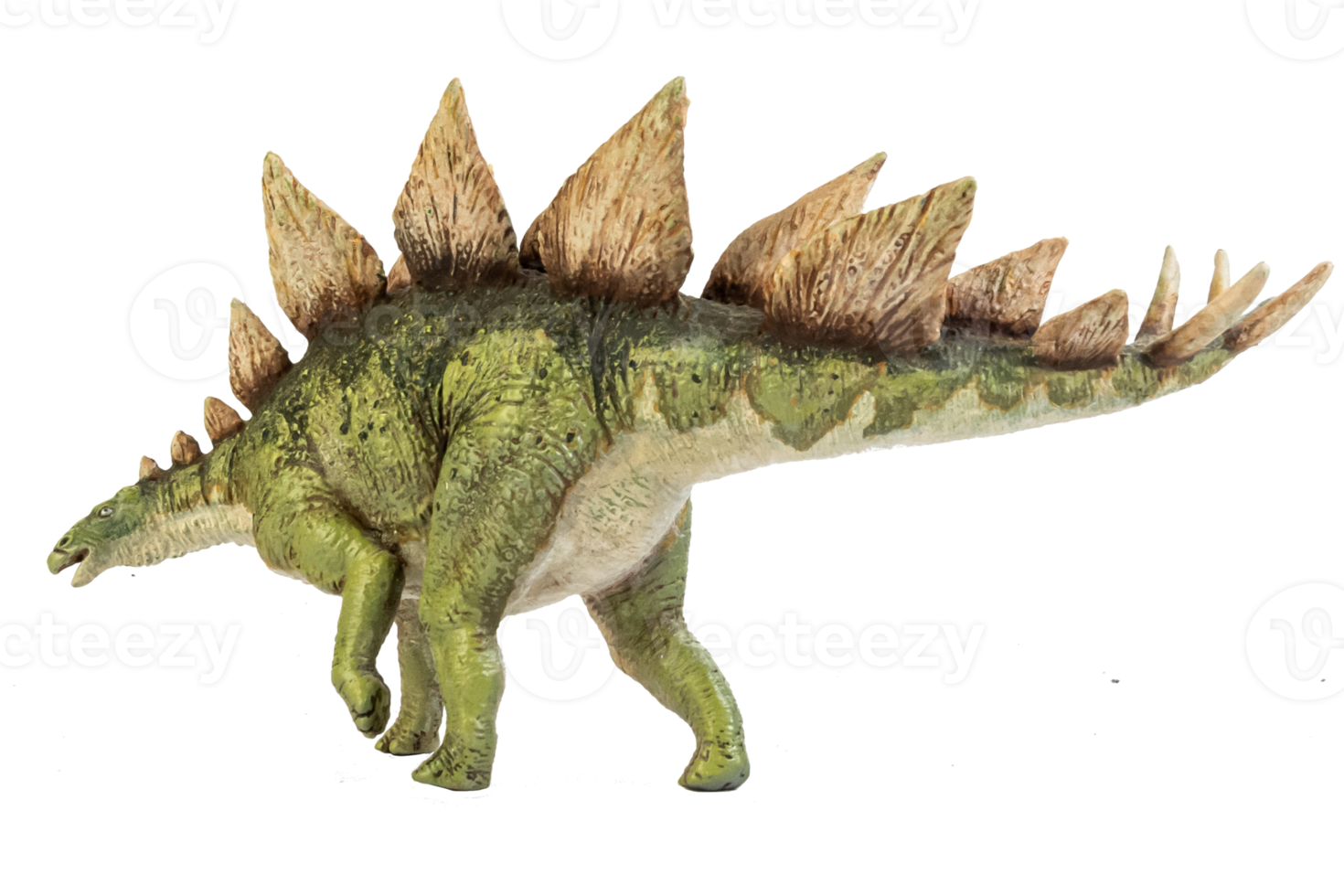 Stegosaurus-Dinosaurier auf isolierendem Hintergrund. png