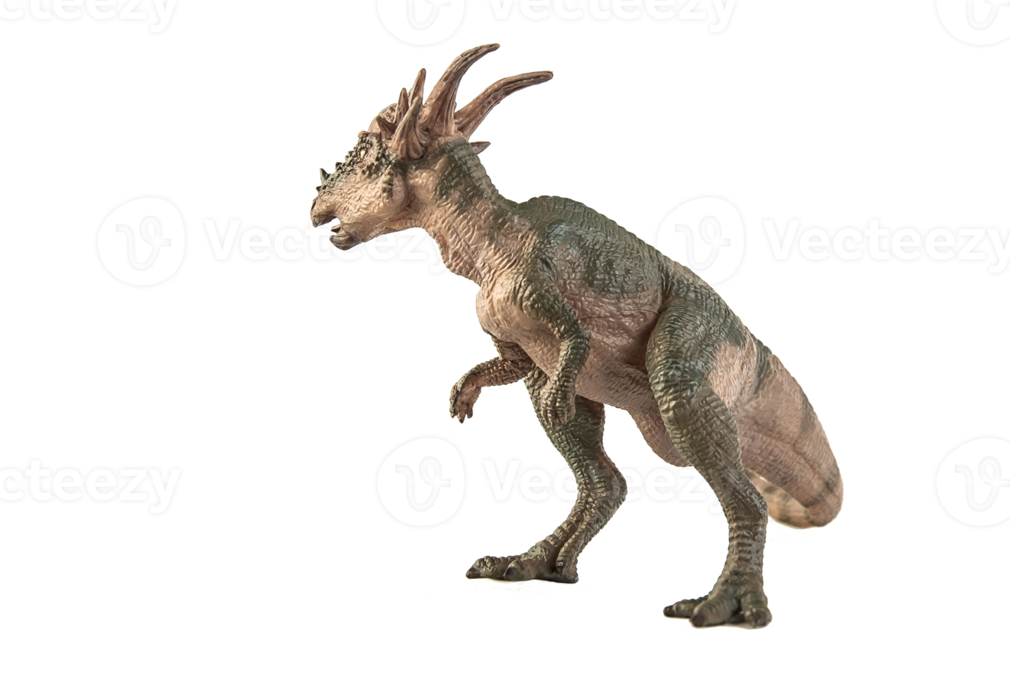 Stygimoloch Dinosaur on white background png