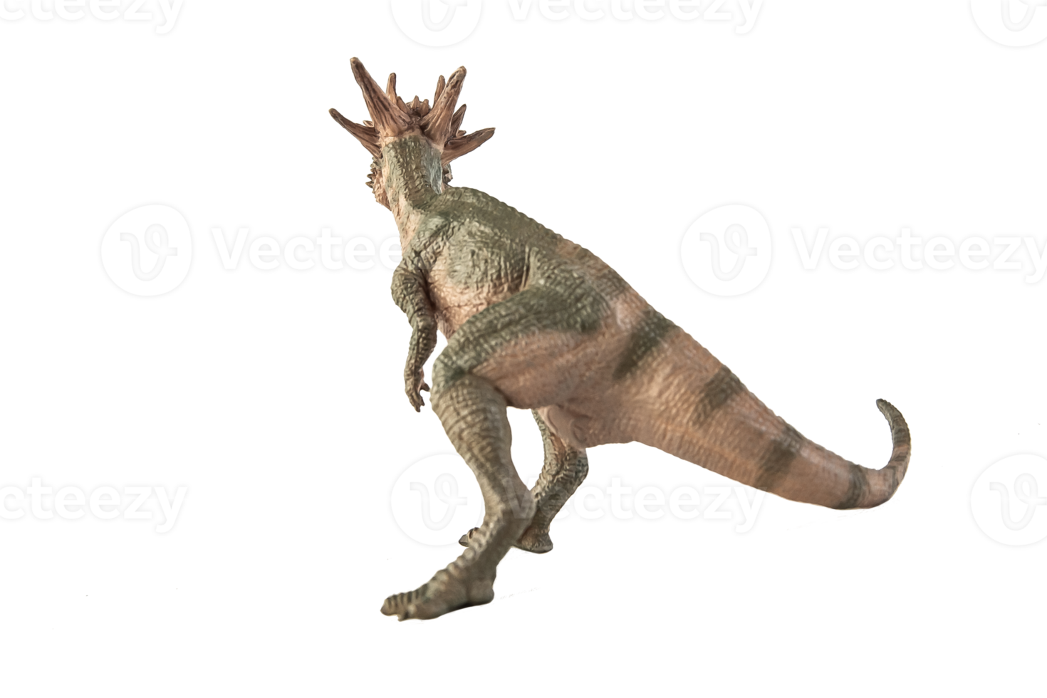 stygimoloch dinosauro su sfondo bianco png