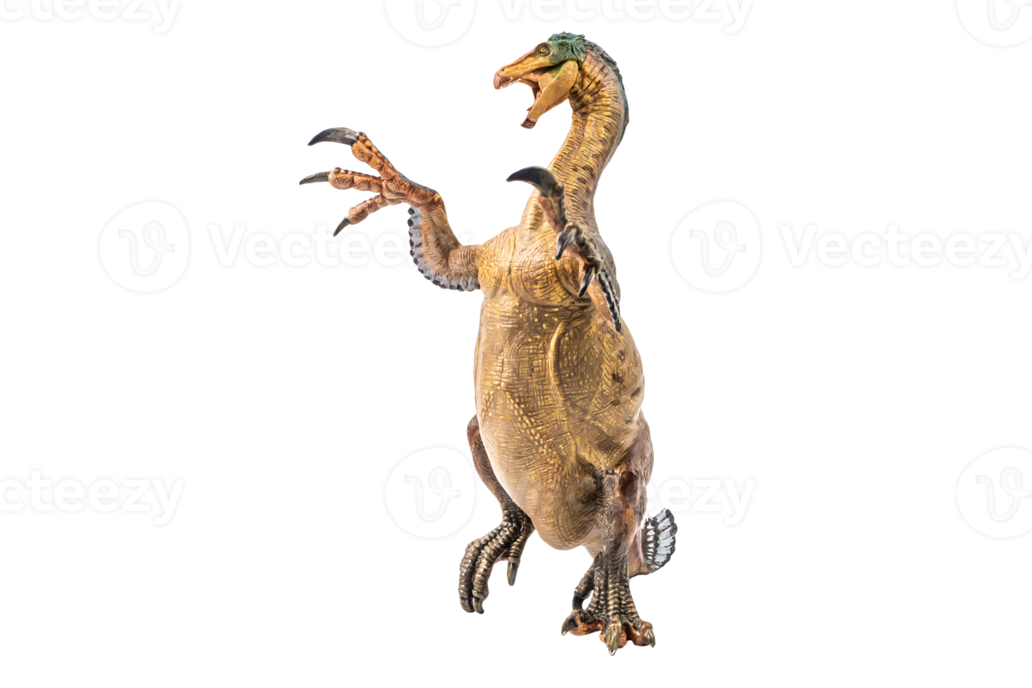 Amargasaurus ,dinosaur on white background png