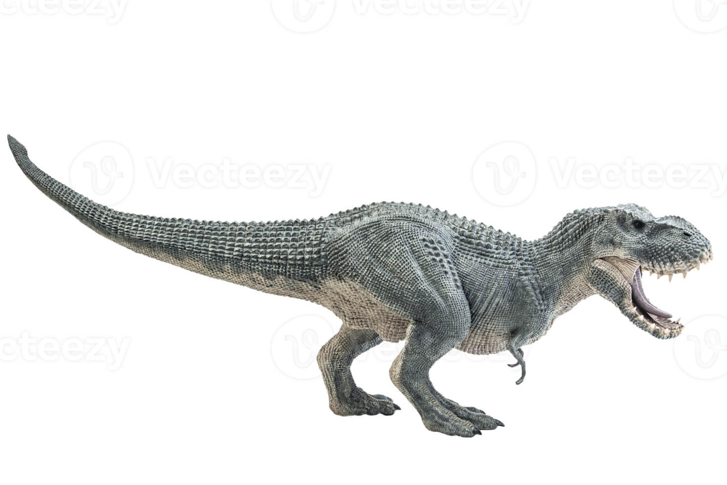 tyrannosaurus t-rex, dinosaurie på vit bakgrund png