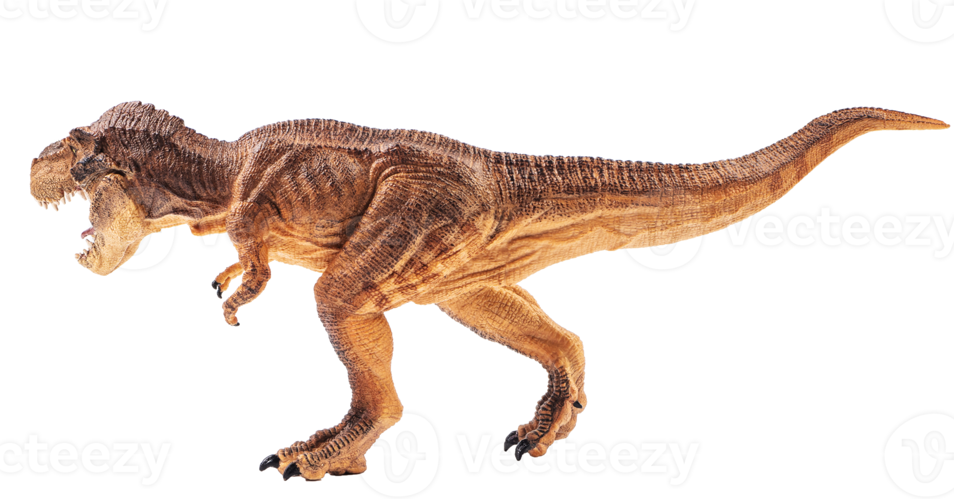 Tyrannosaurus T-rex ,dinosaur on white background png