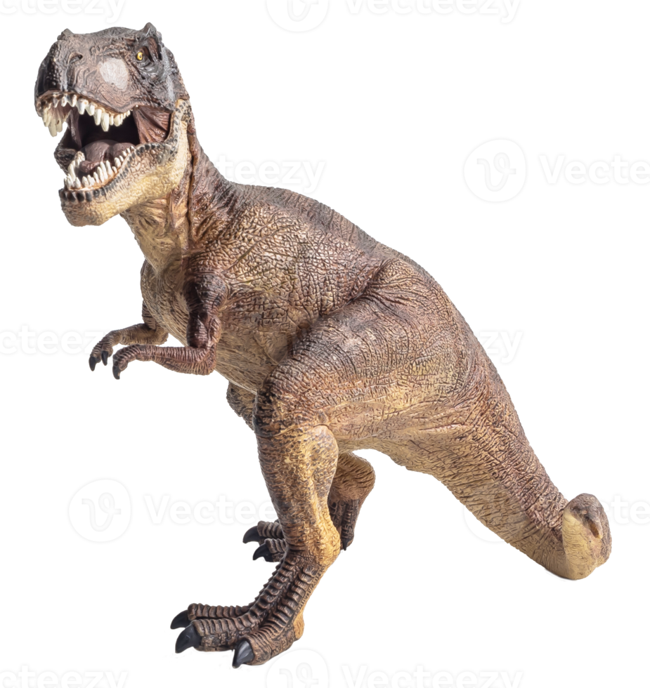 Tyrannosaurus T-rex ,dinosaur on white background png