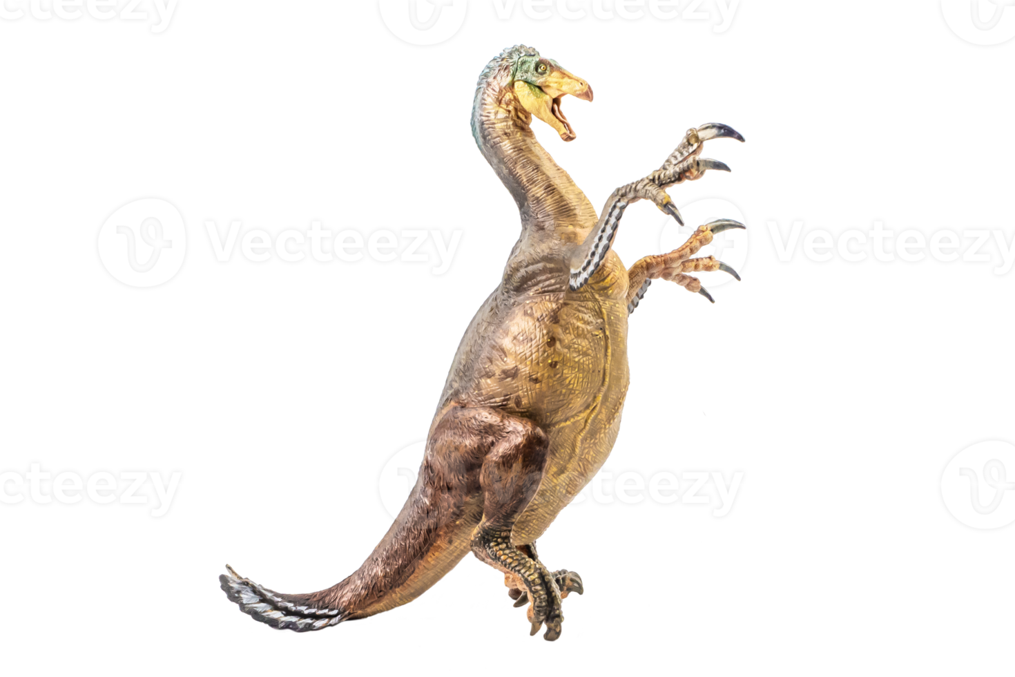 amargasaurus, dinosaurio sobre fondo blanco png