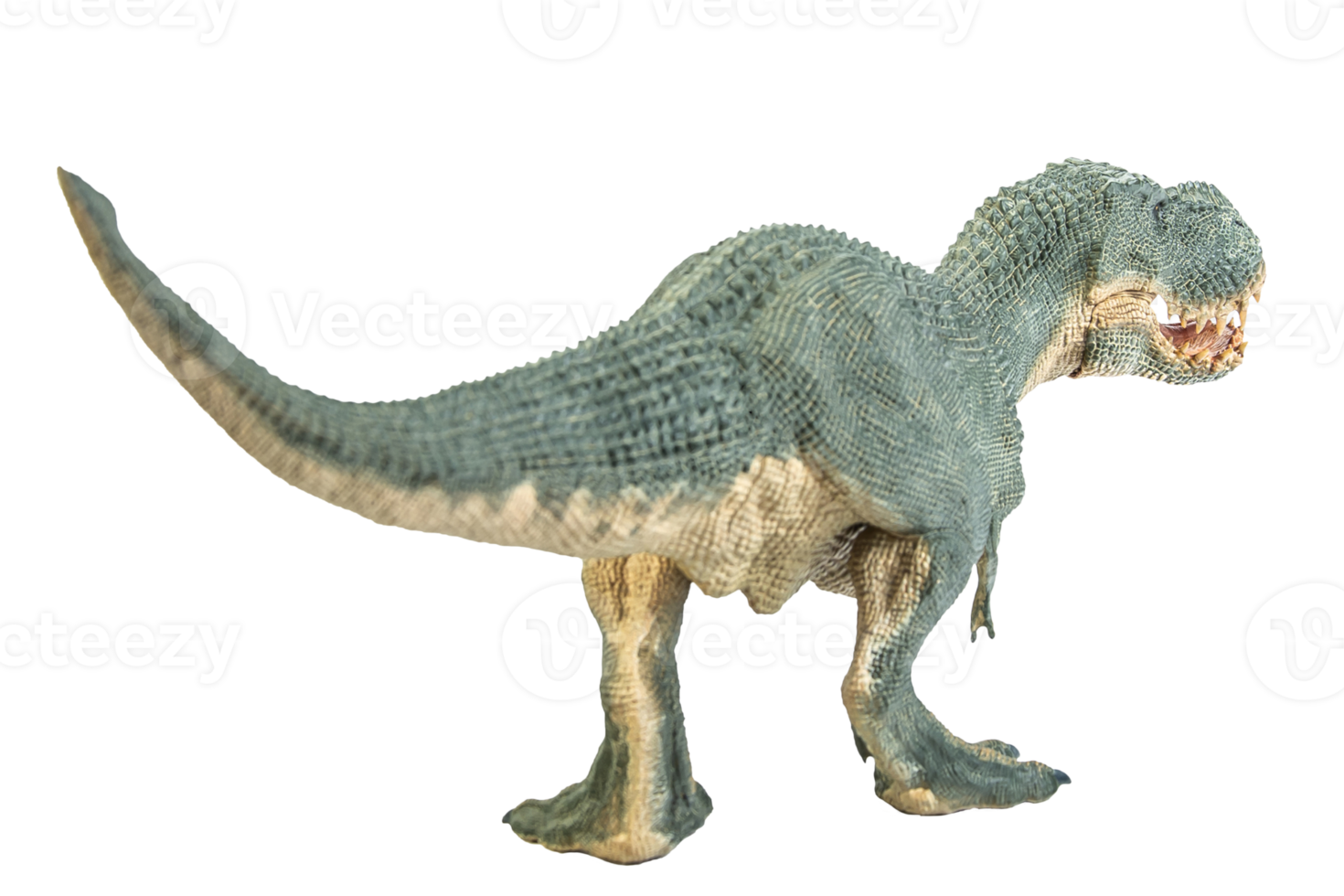 Tyrannosaurus T-rex ,dinosaur on white background png